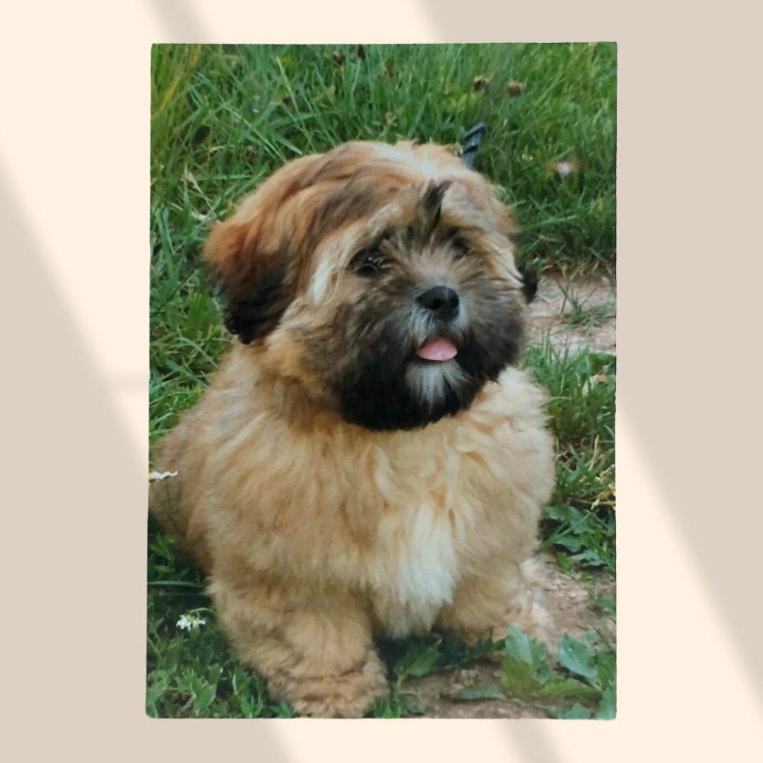 Plaque métallique personnalisée