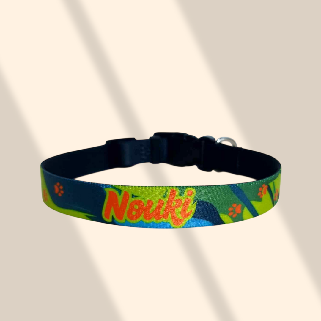 Collier personnalisé pour chien – Alliez style et sécurité